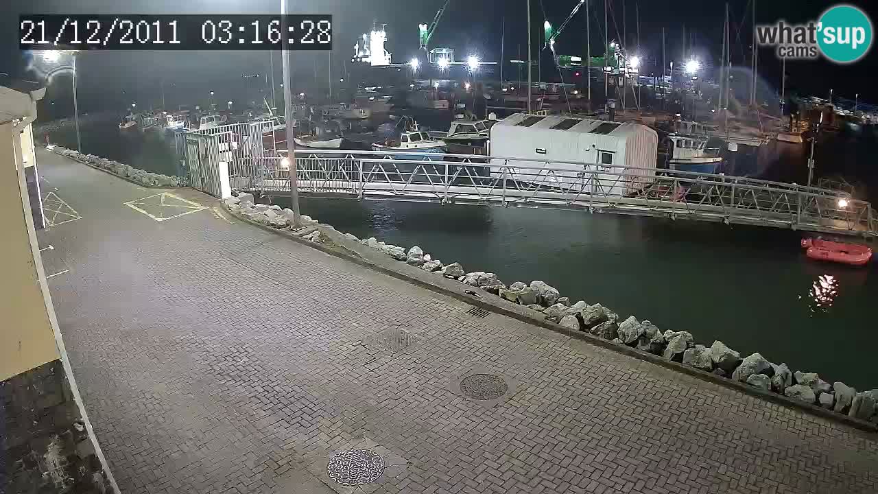 Fenit Marina livecam