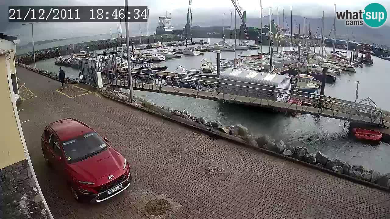 Fenit Marina spletna kamera