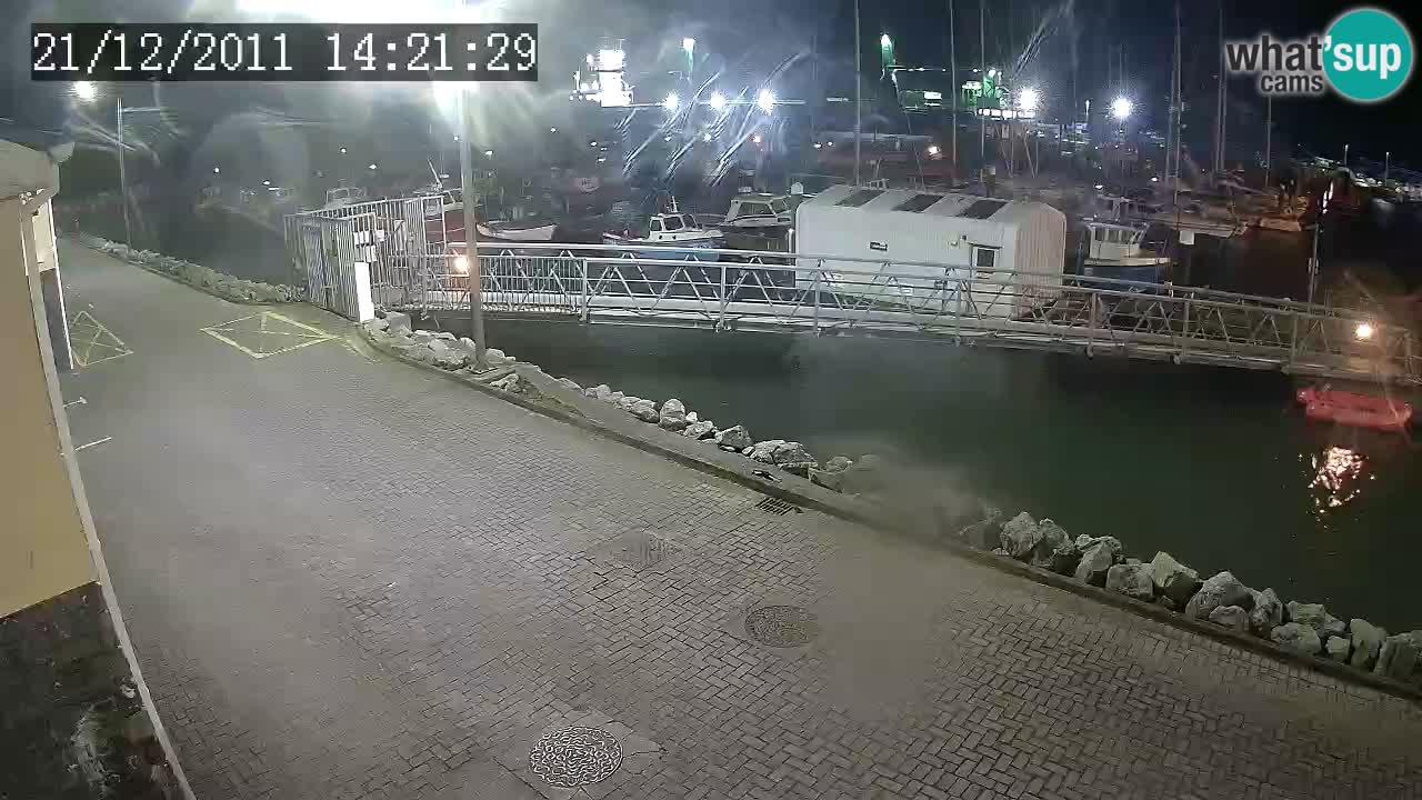 Fenit Marina live webcam