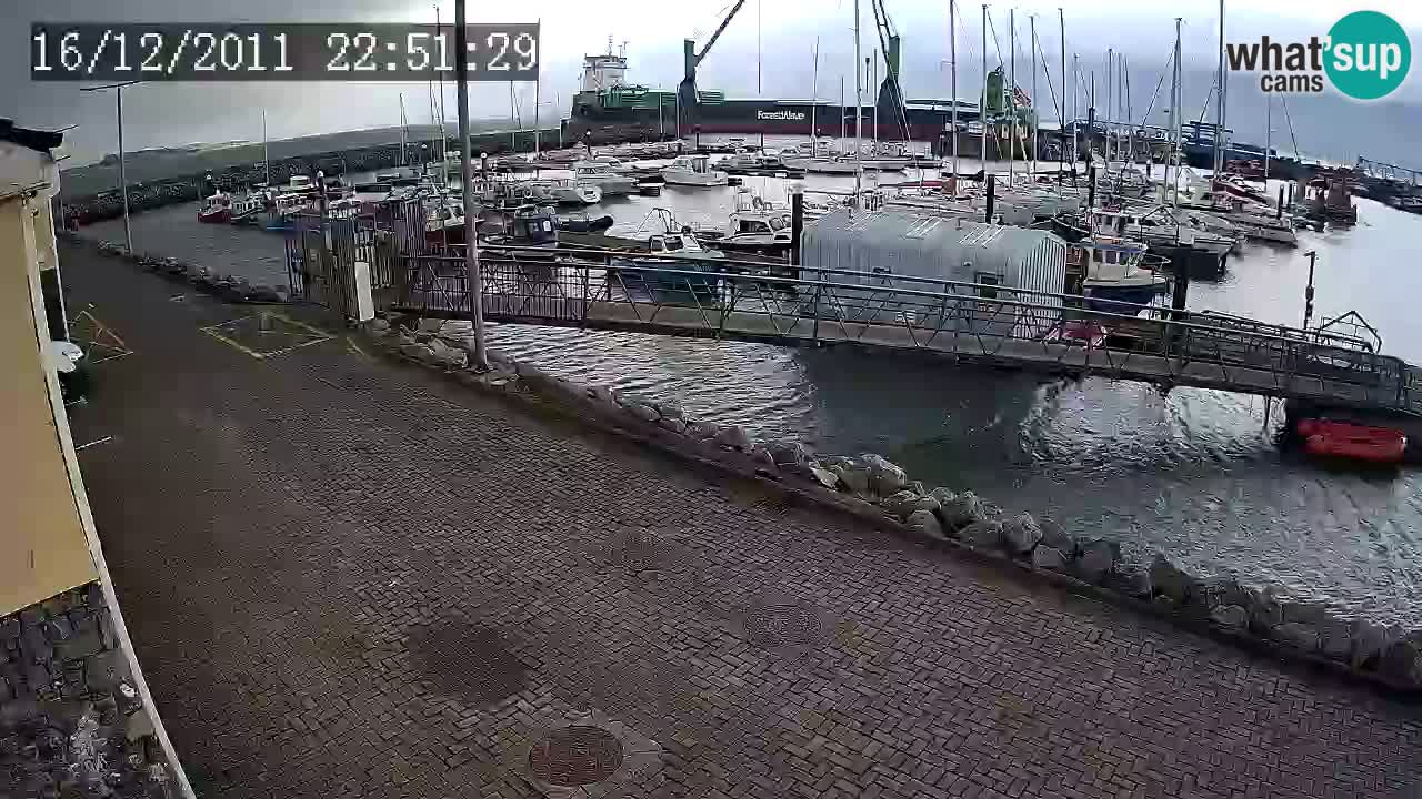 Fenit Marina livecam