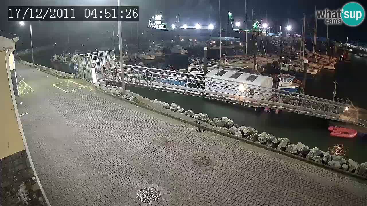 Fenit Marina livecam