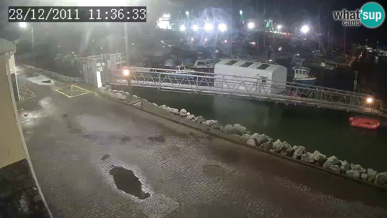 Fenit Marina livecam