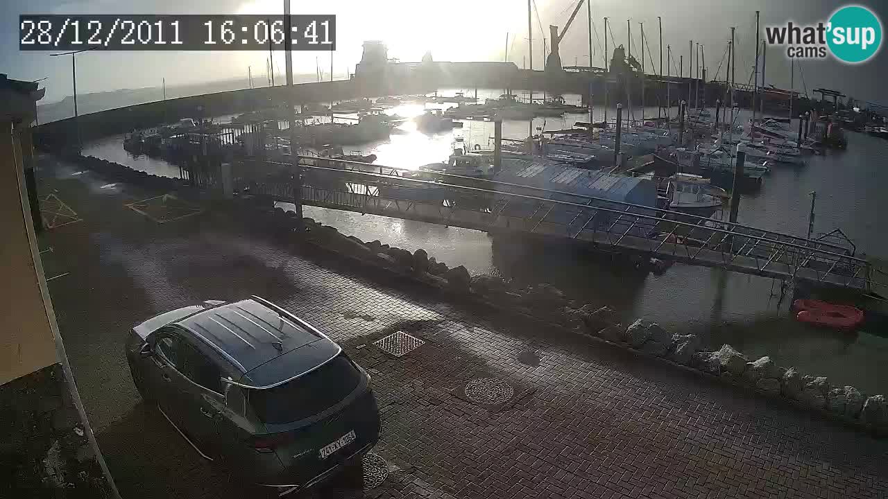 Fenit Marina livecam