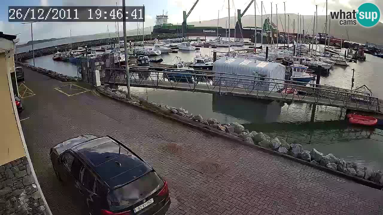 Fenit Marina spletna kamera