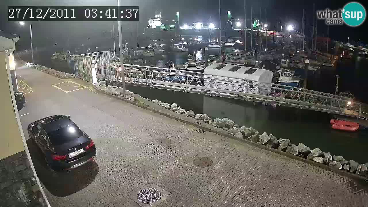 Fenit Marina livecam