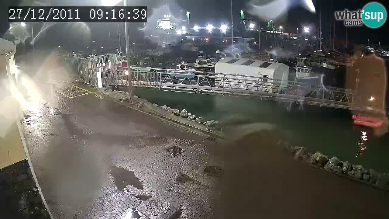 Fenit Marina livecam