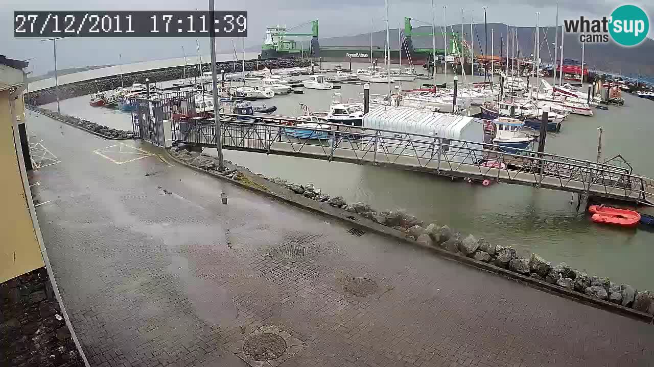 Fenit Marina camera en vivo