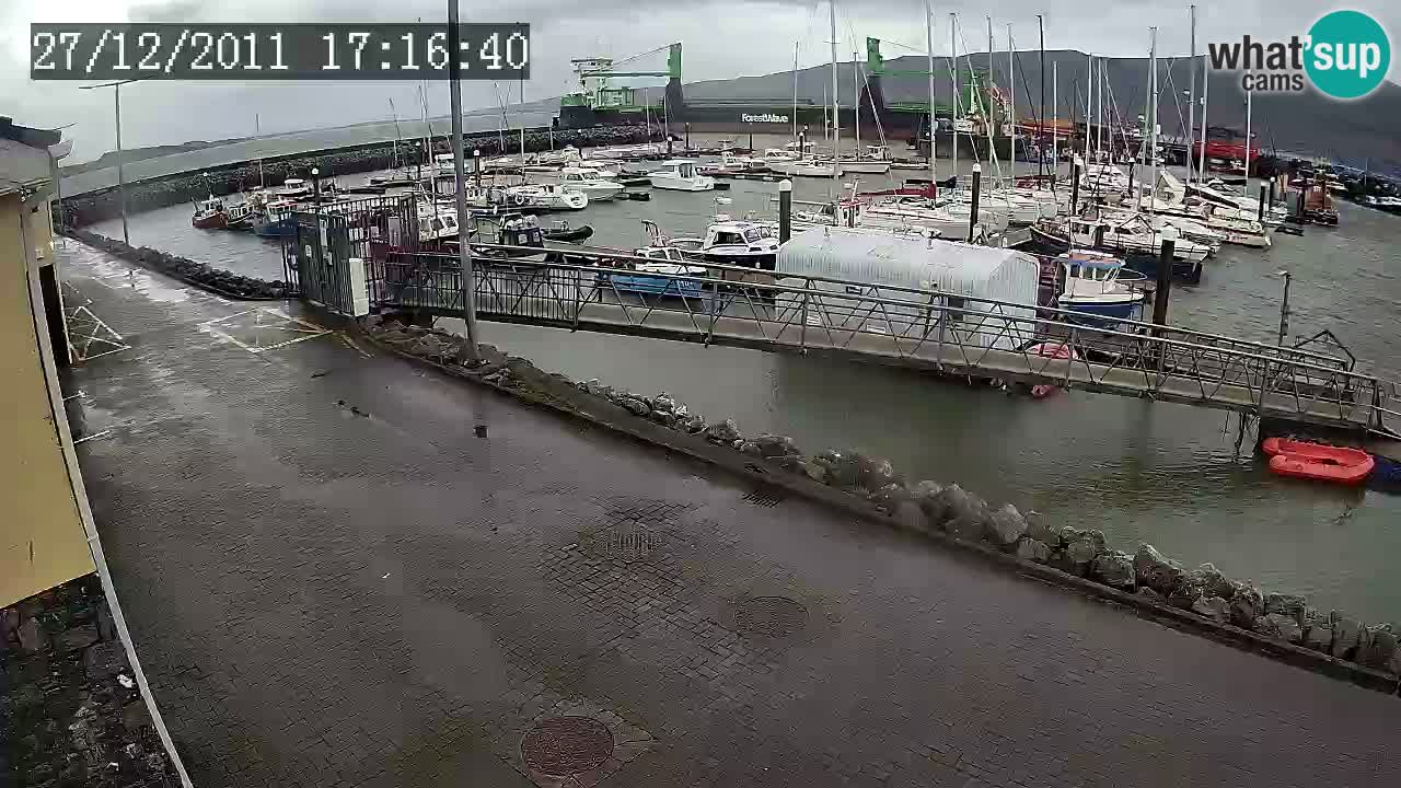 Fenit Marina webcam