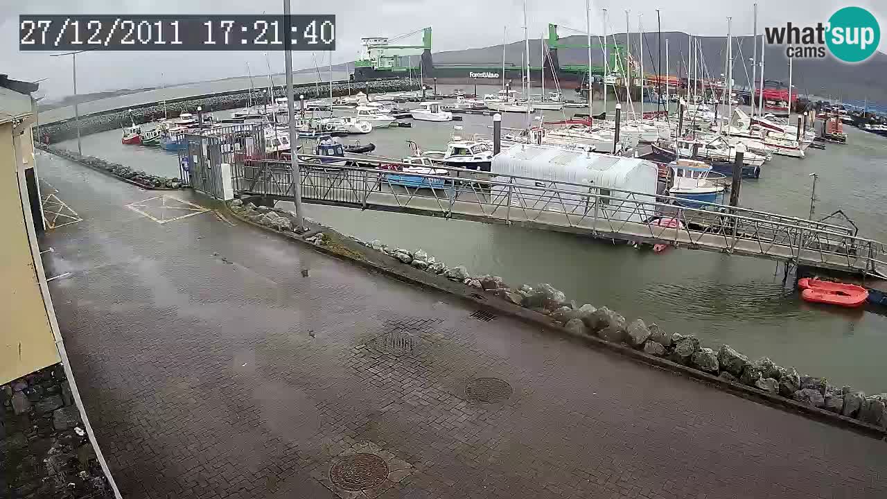 Fenit Marina camera en vivo