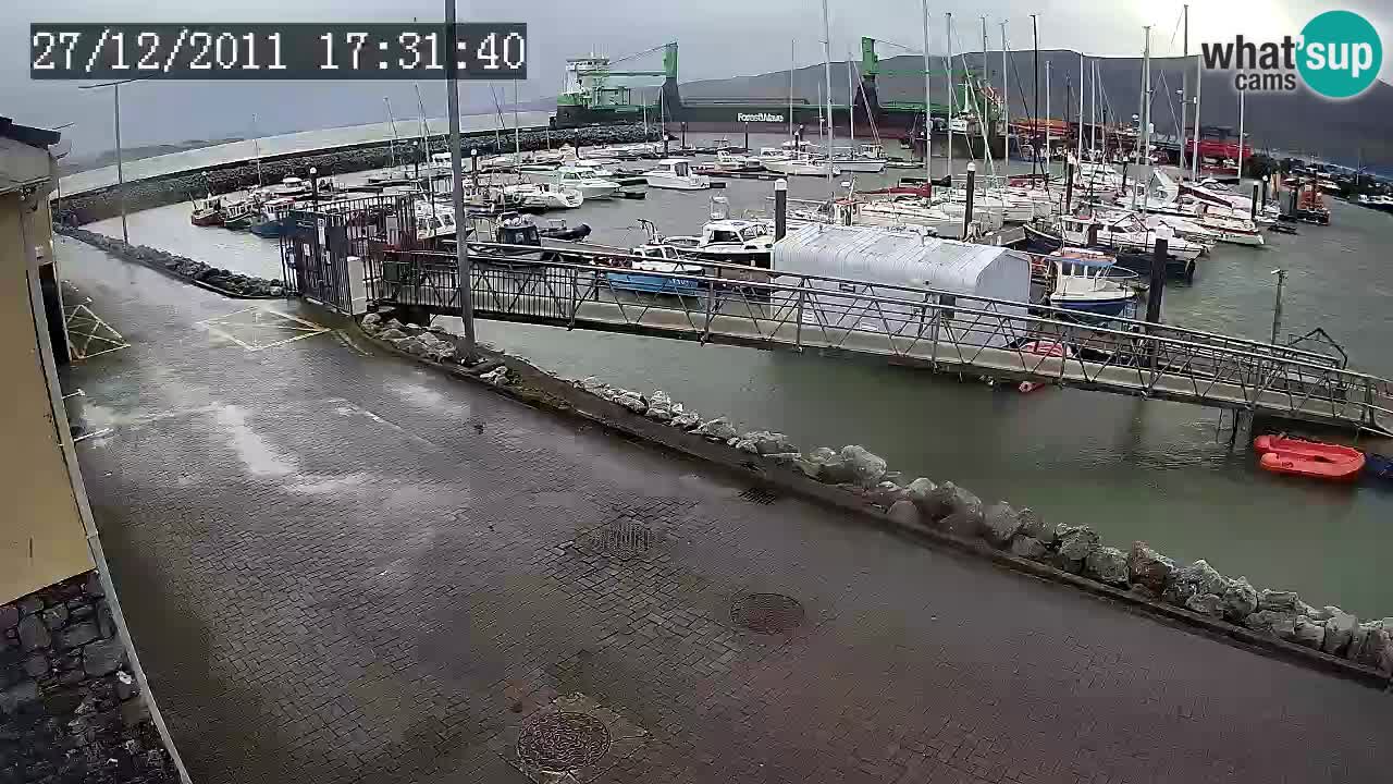 Fenit Marina camera en vivo