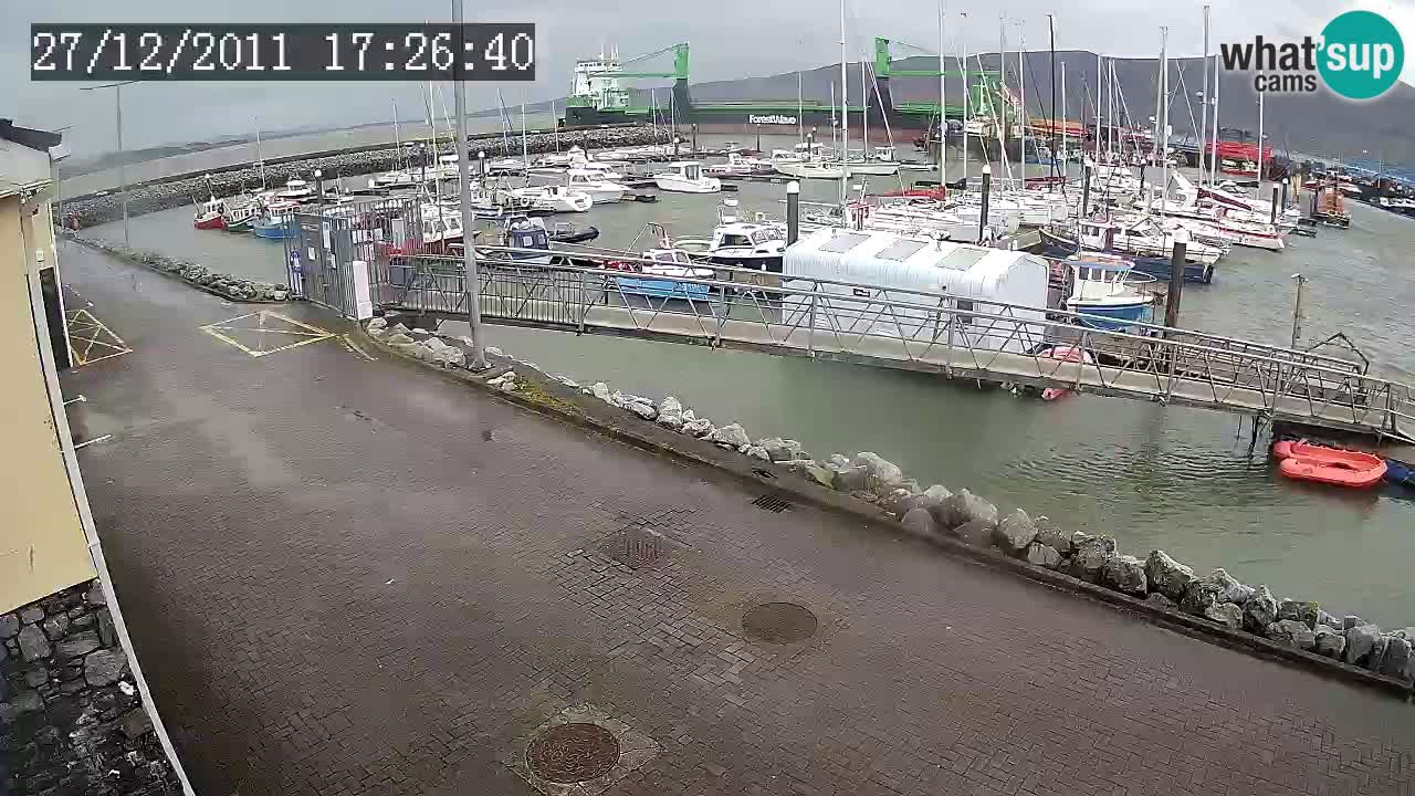 Fenit Marina camera en vivo