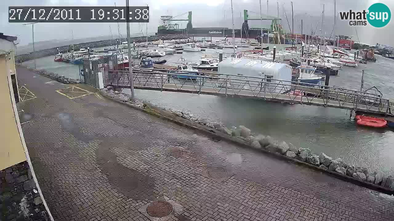 Fenit Marina webcam