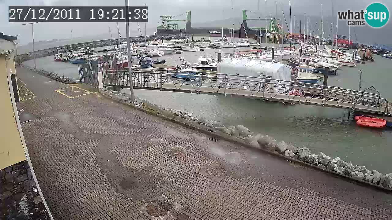 Fenit Marina web kamera