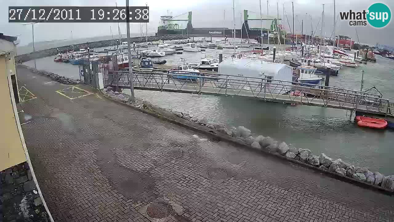 Fenit Marina live webcam