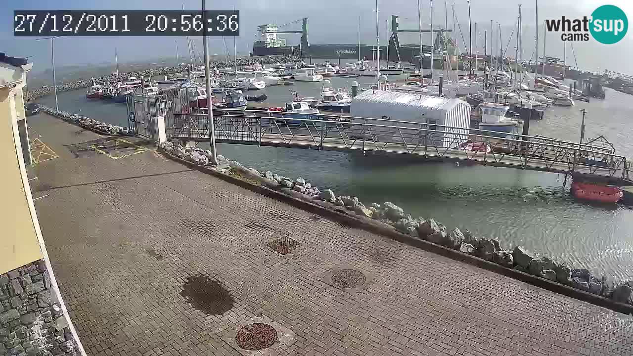 Fenit Marina spletna kamera