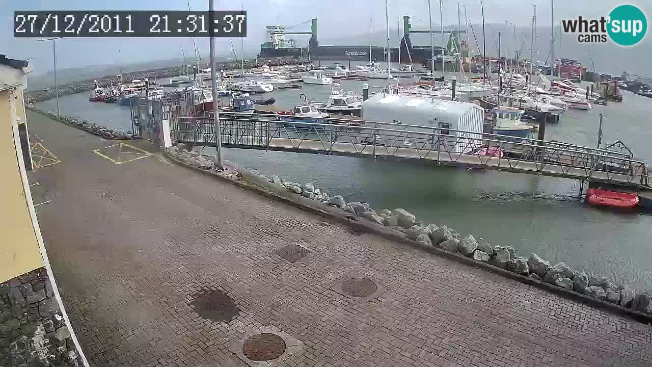 Fenit Marina livecam