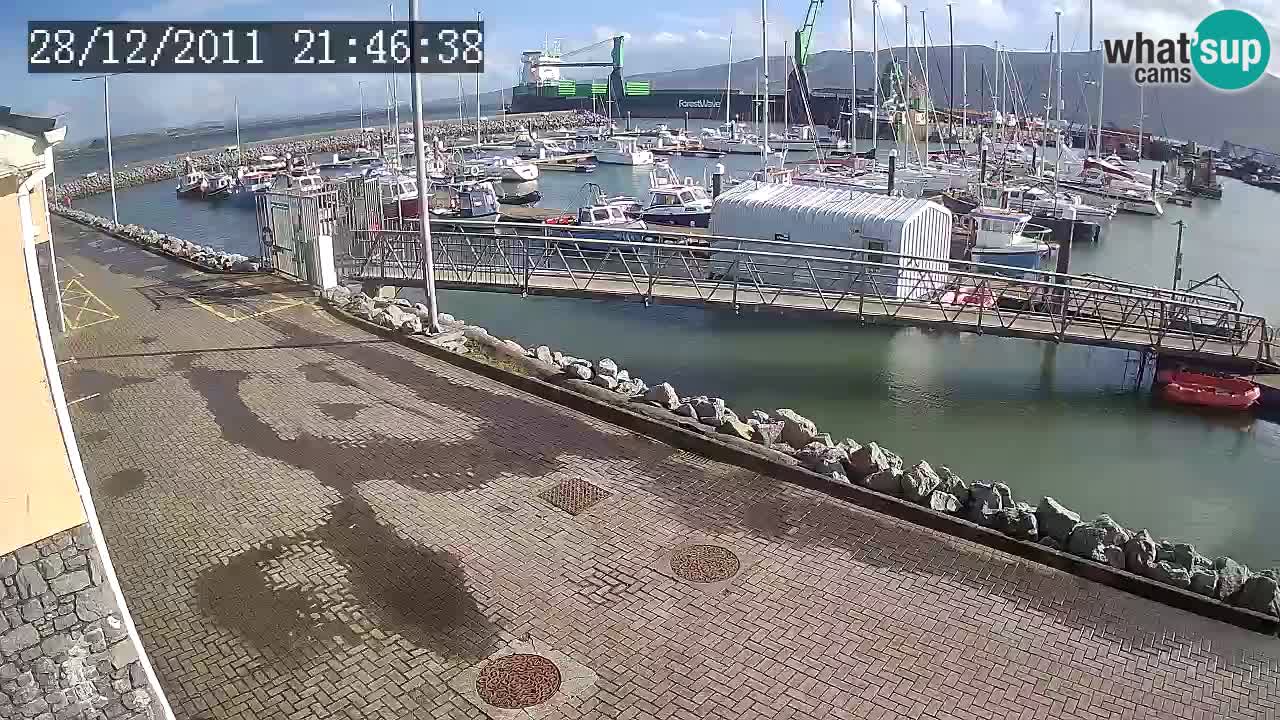 Fenit Marina spletna kamera