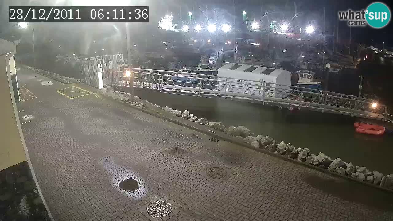 Fenit Marina live webcam