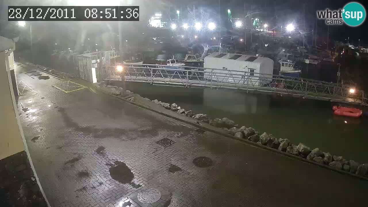 Fenit Marina camera en vivo