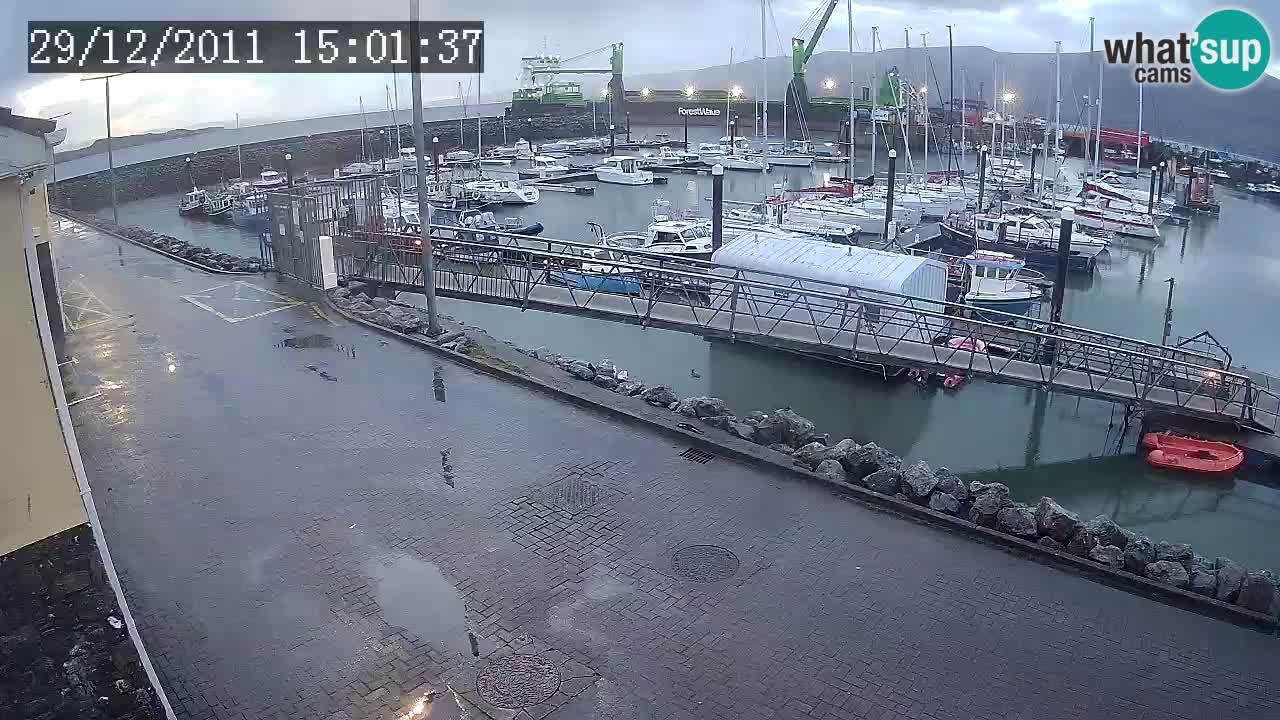 Fenit Marina spletna kamera