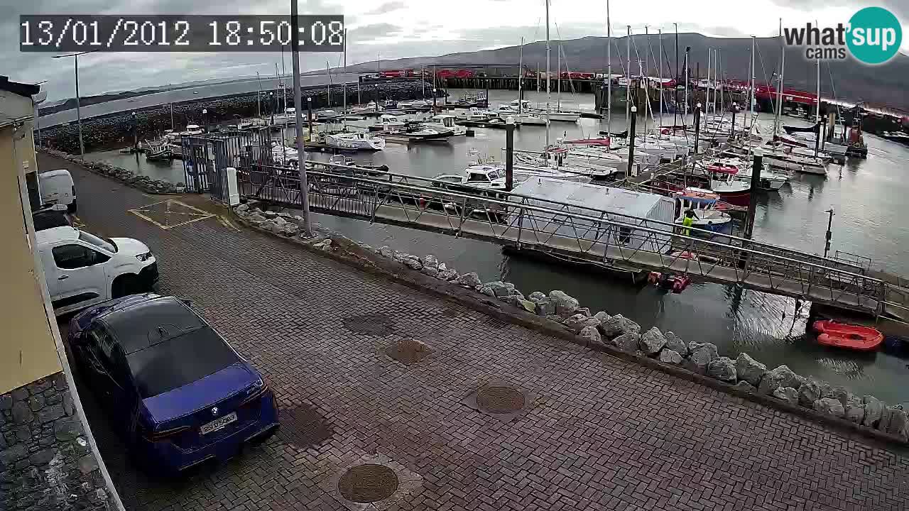 Fenit Marina livecam