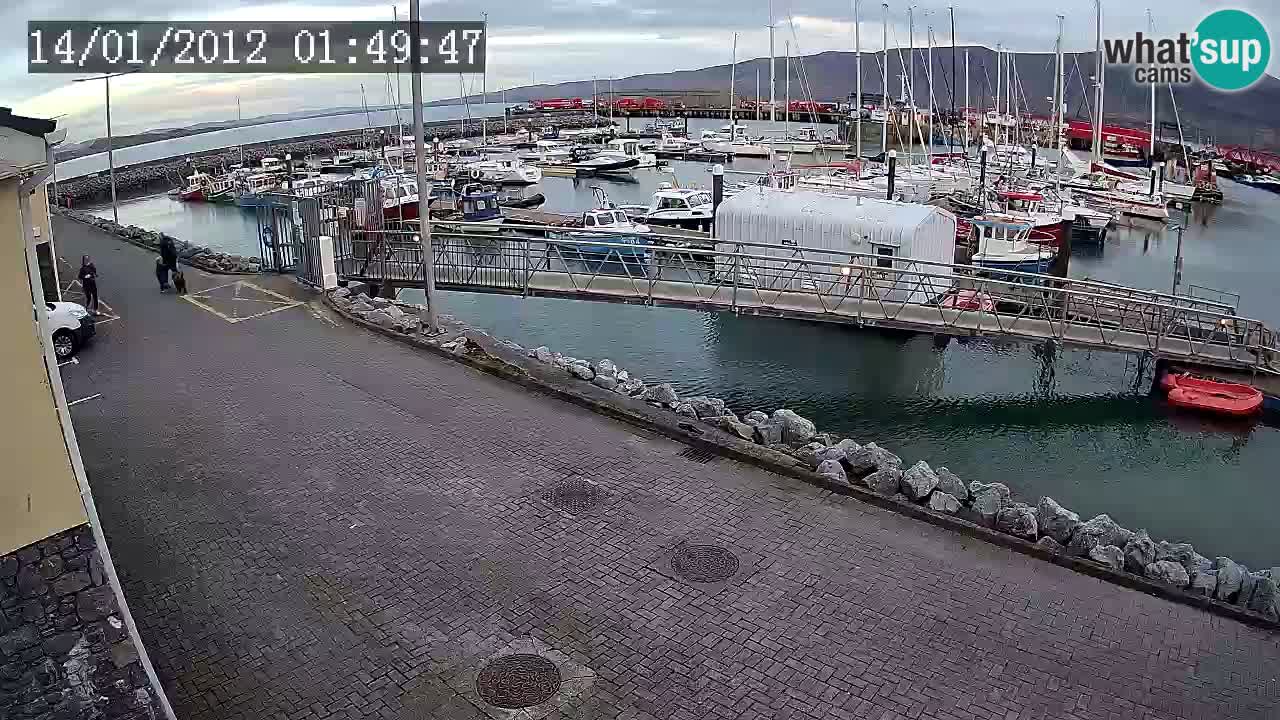 Fenit Marina spletna kamera