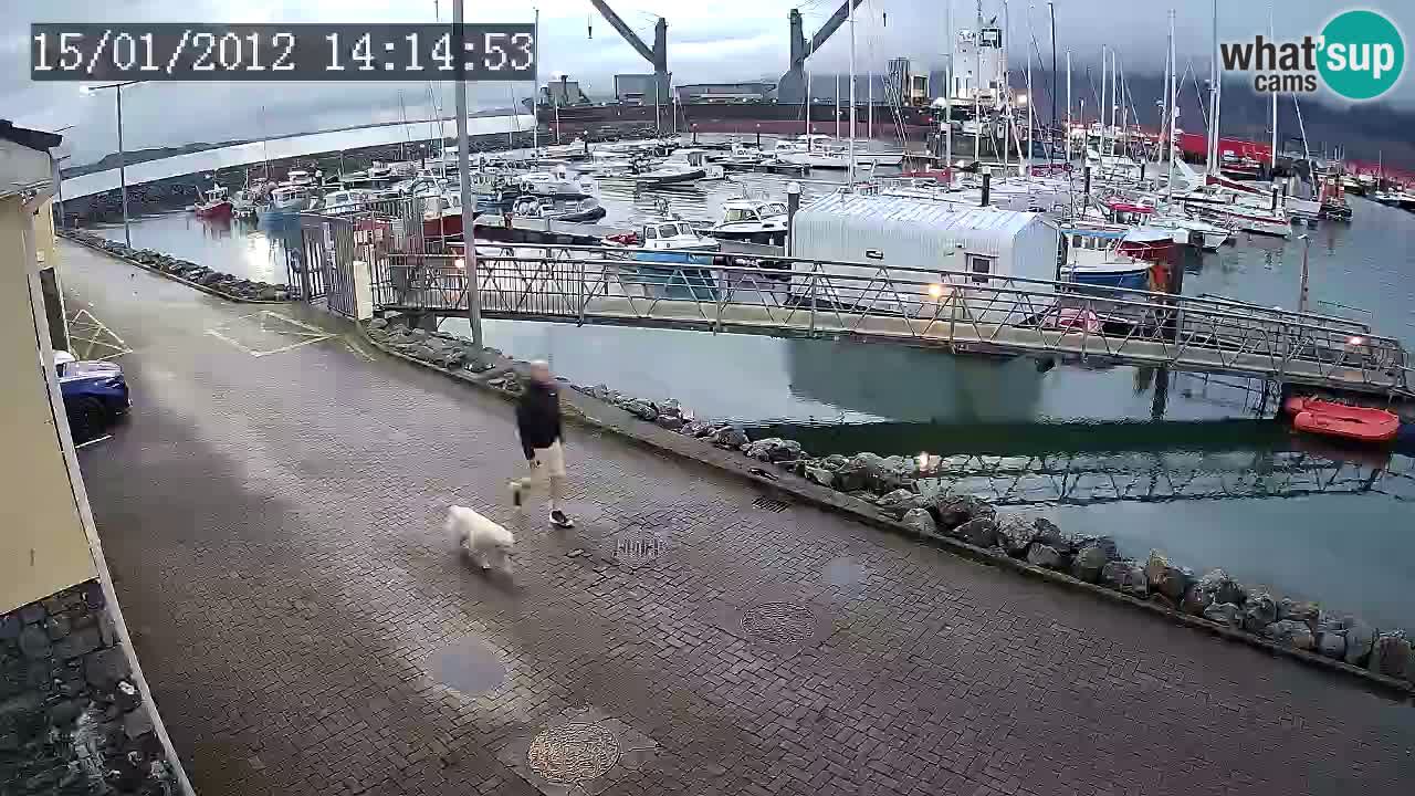 Fenit Marina webcam