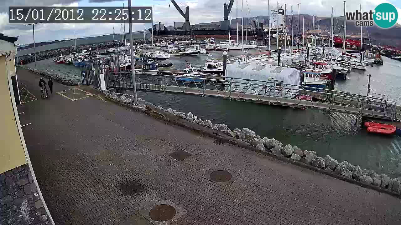 Fenit Marina webcam