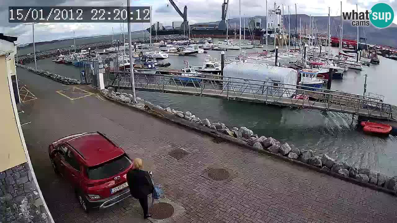 Fenit Marina camera en vivo