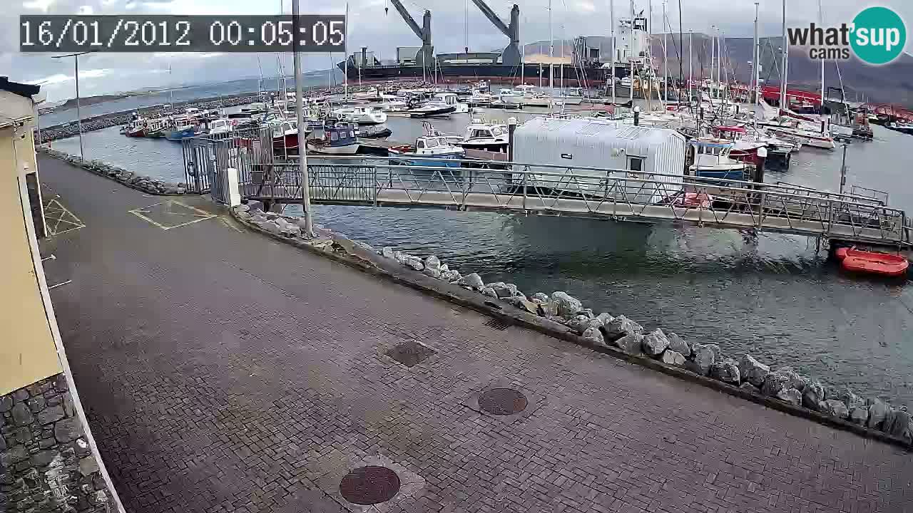 Fenit Marina livecam