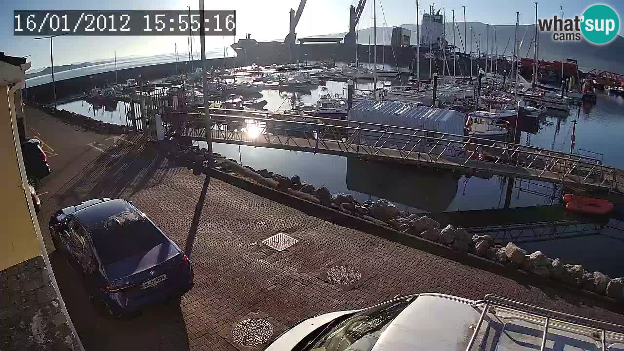 Fenit Marina livecam