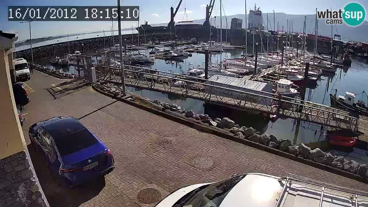 Fenit Marina livecam