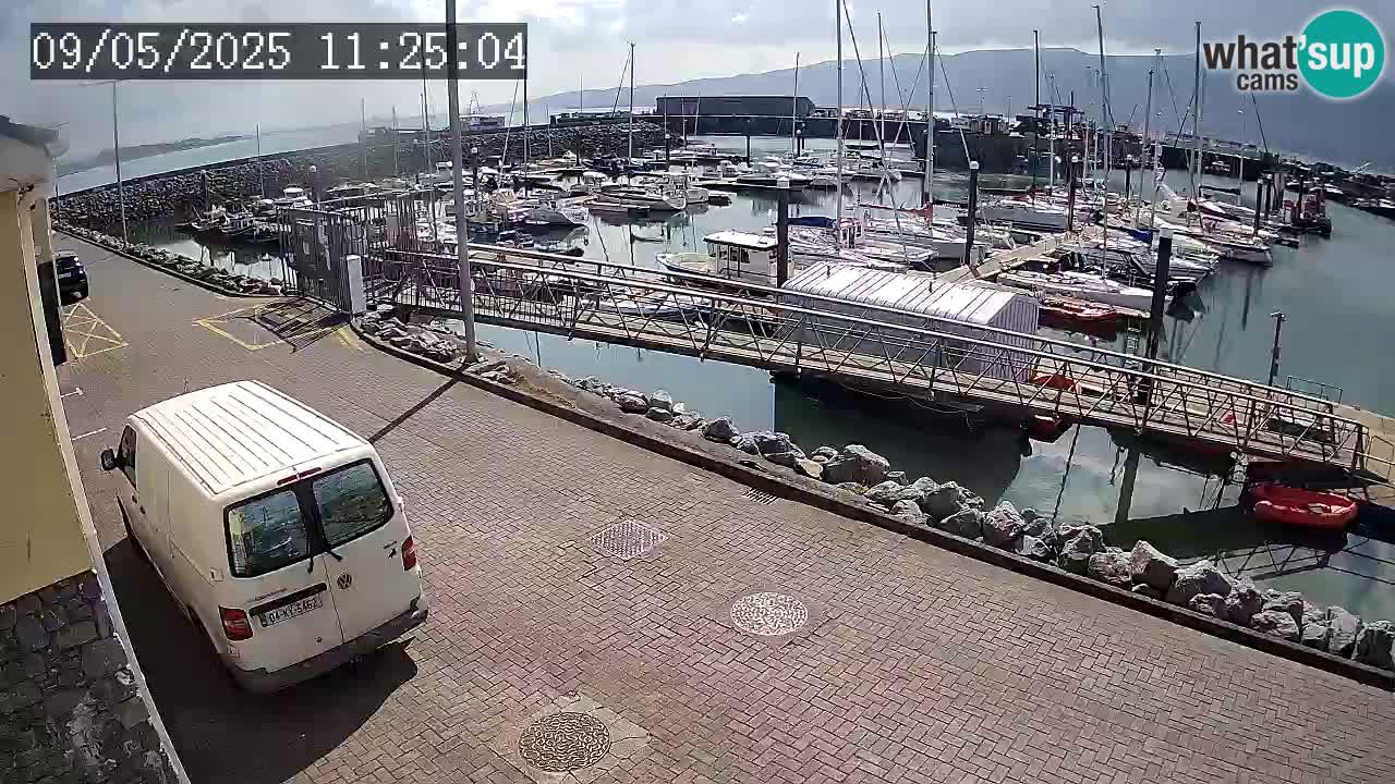 Fenit Marina spletna kamera