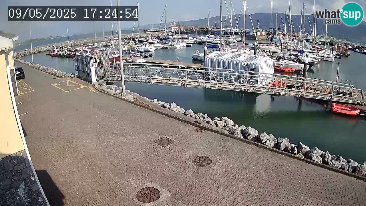 Fenit Marina livecam