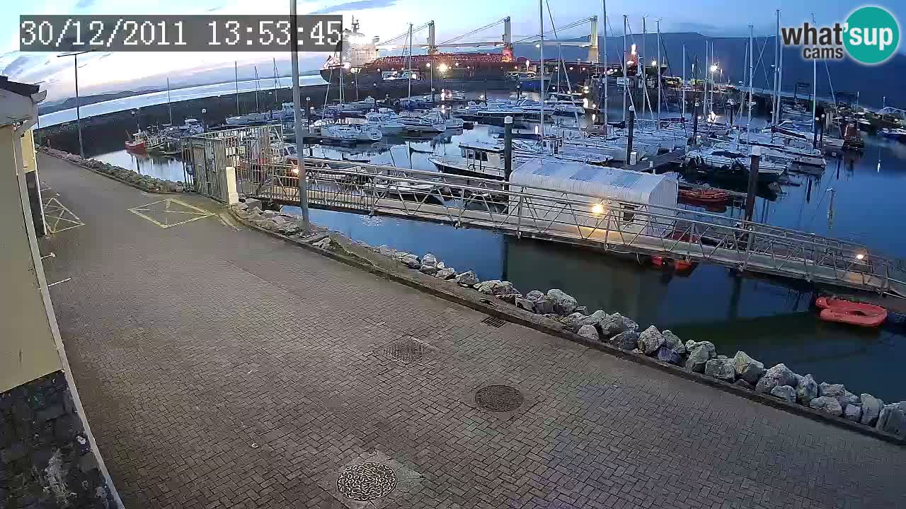 Fenit Marina livecam