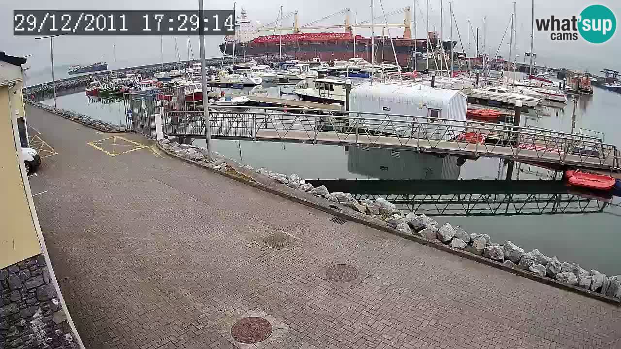 Fenit Marina live webcam