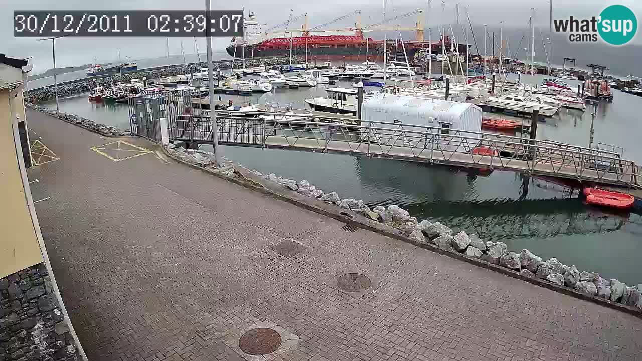 Fenit Marina live webcam