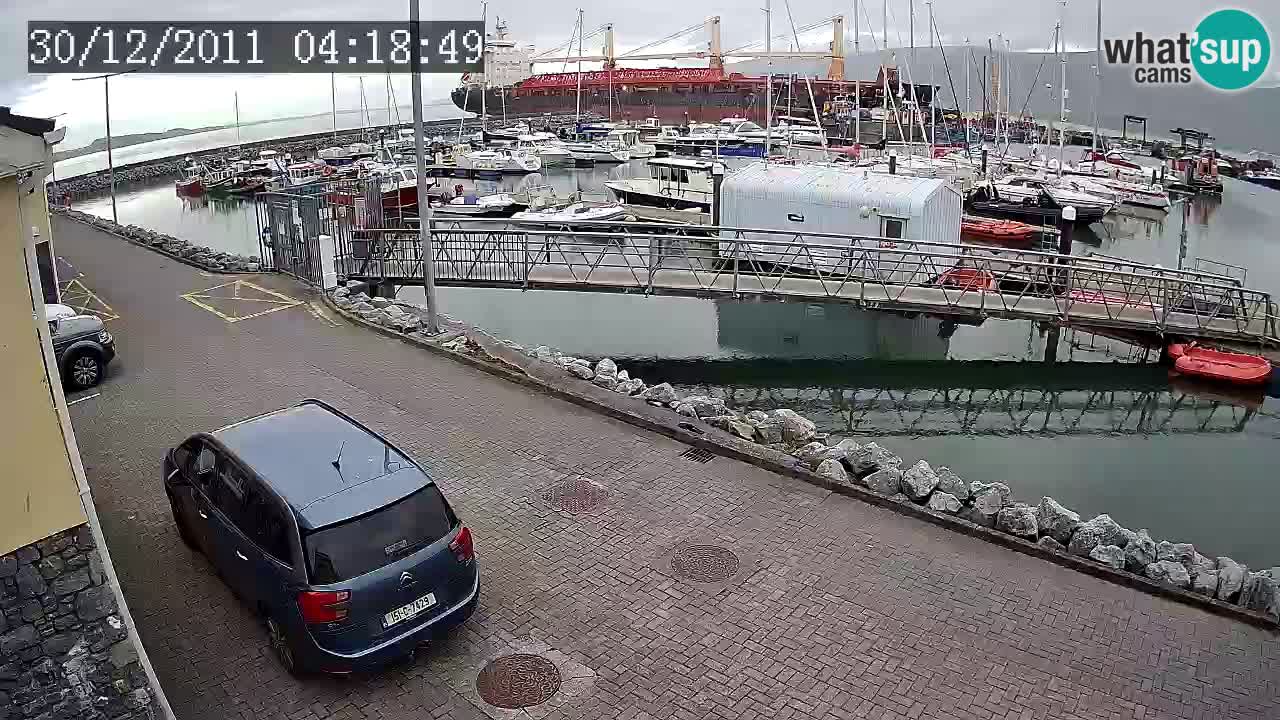 Fenit Marina spletna kamera