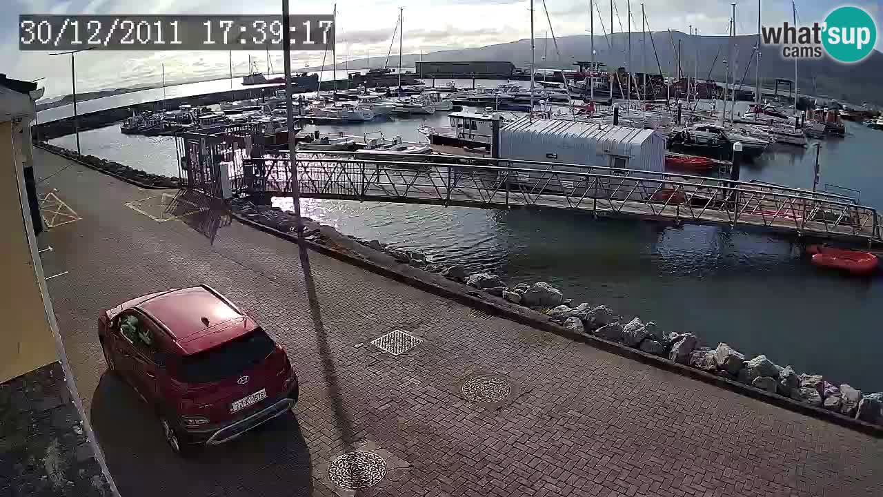 Fenit Marina webcam