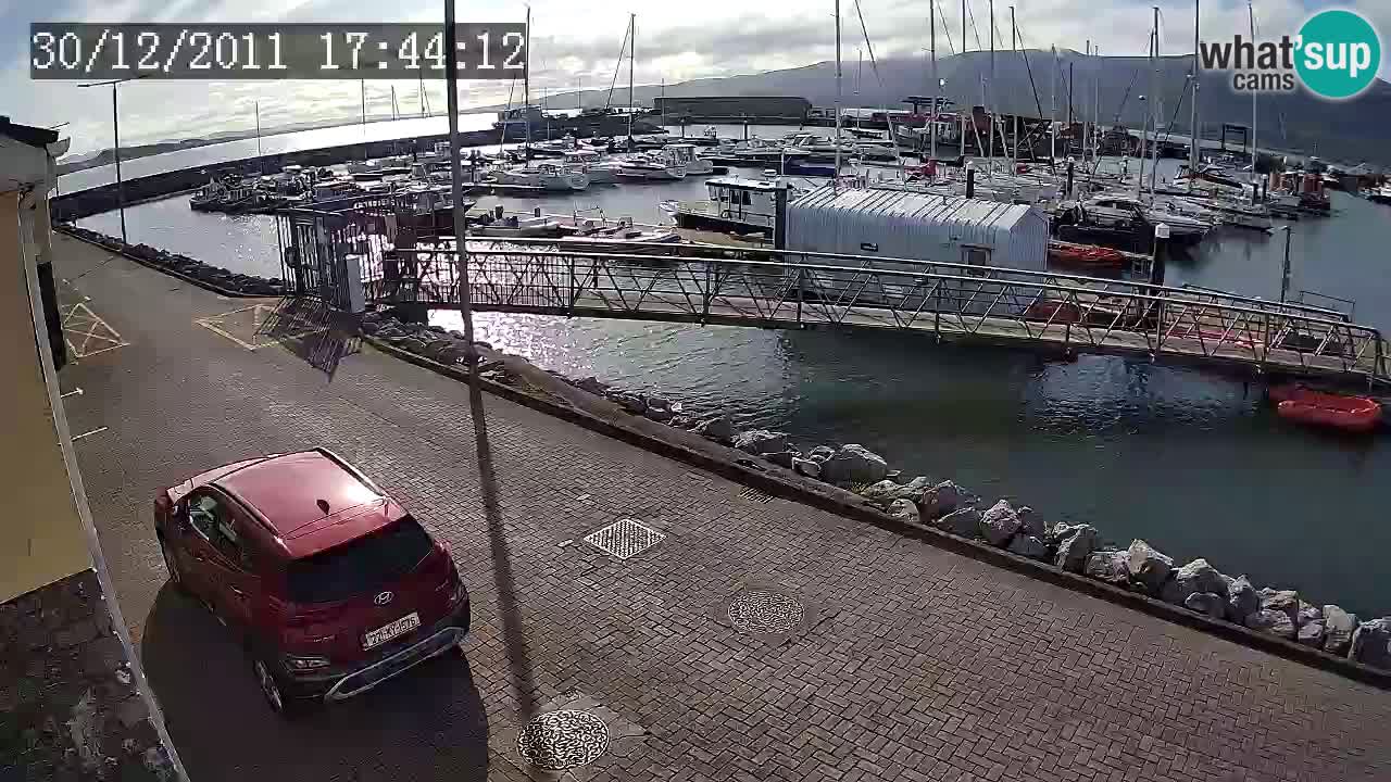 Fenit Marina spletna kamera