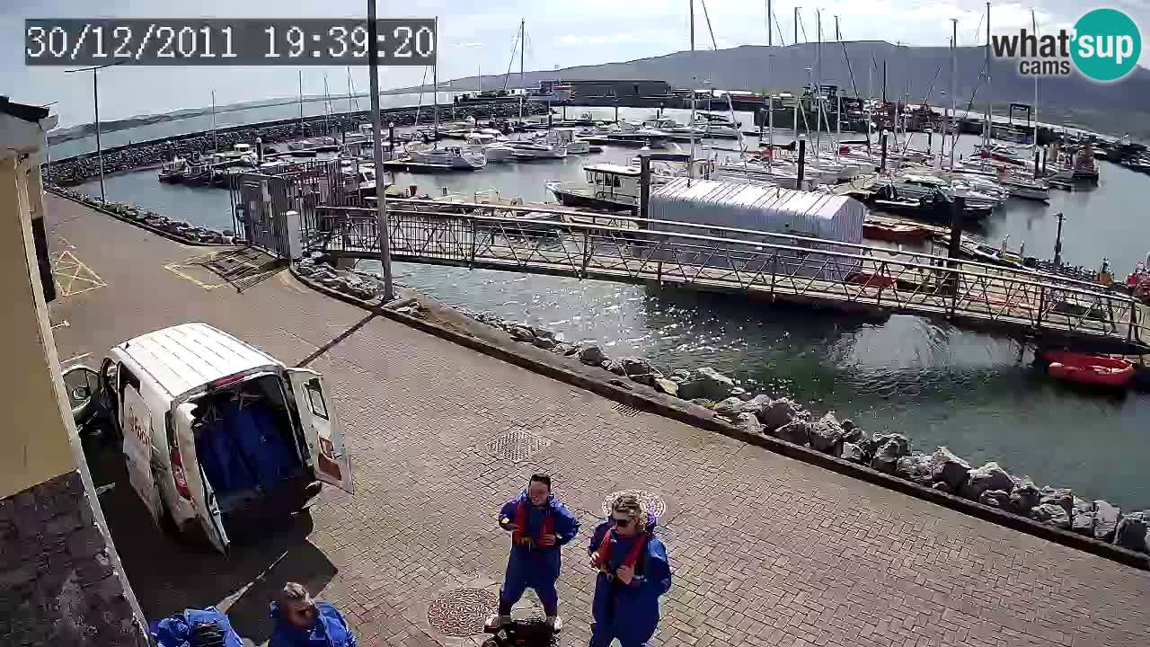Fenit Marina livecam