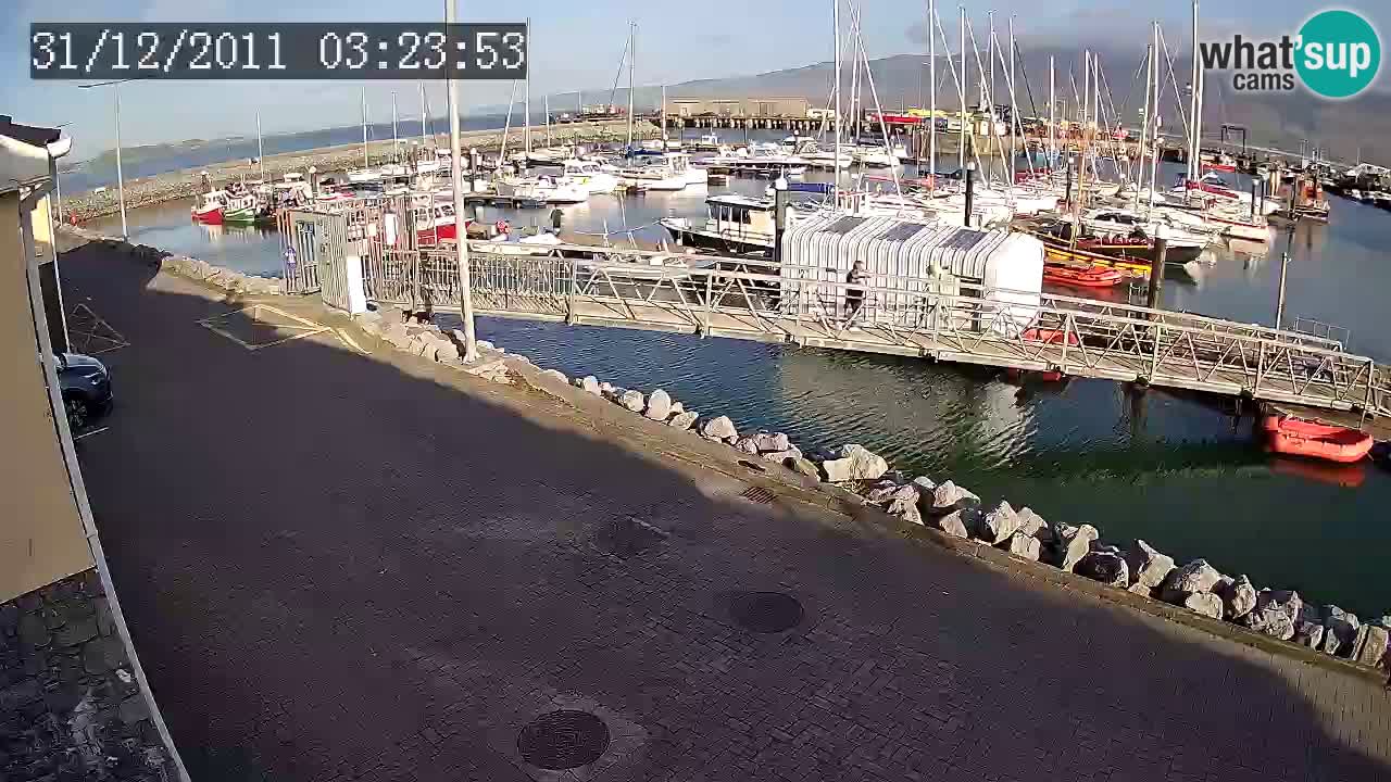 Fenit Marina camera en vivo