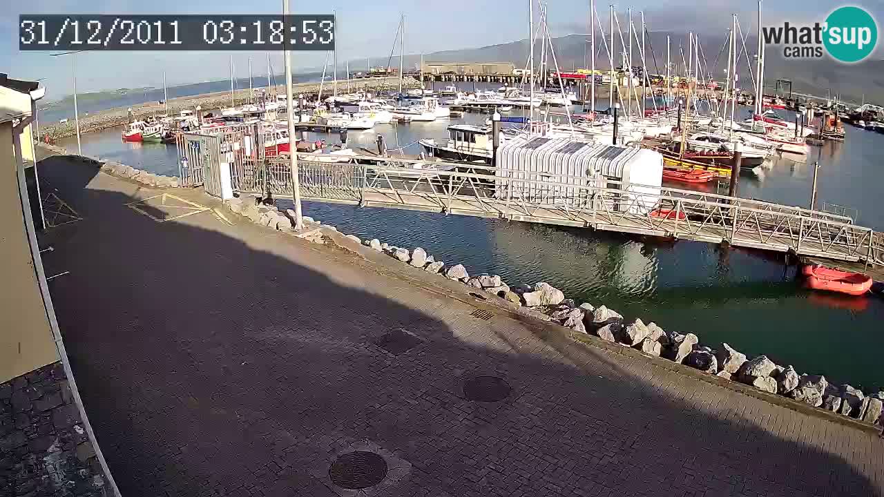 Fenit Marina camera en vivo