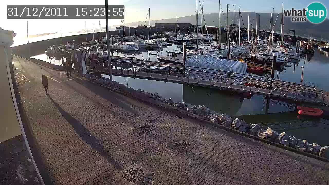 Fenit Marina livecam