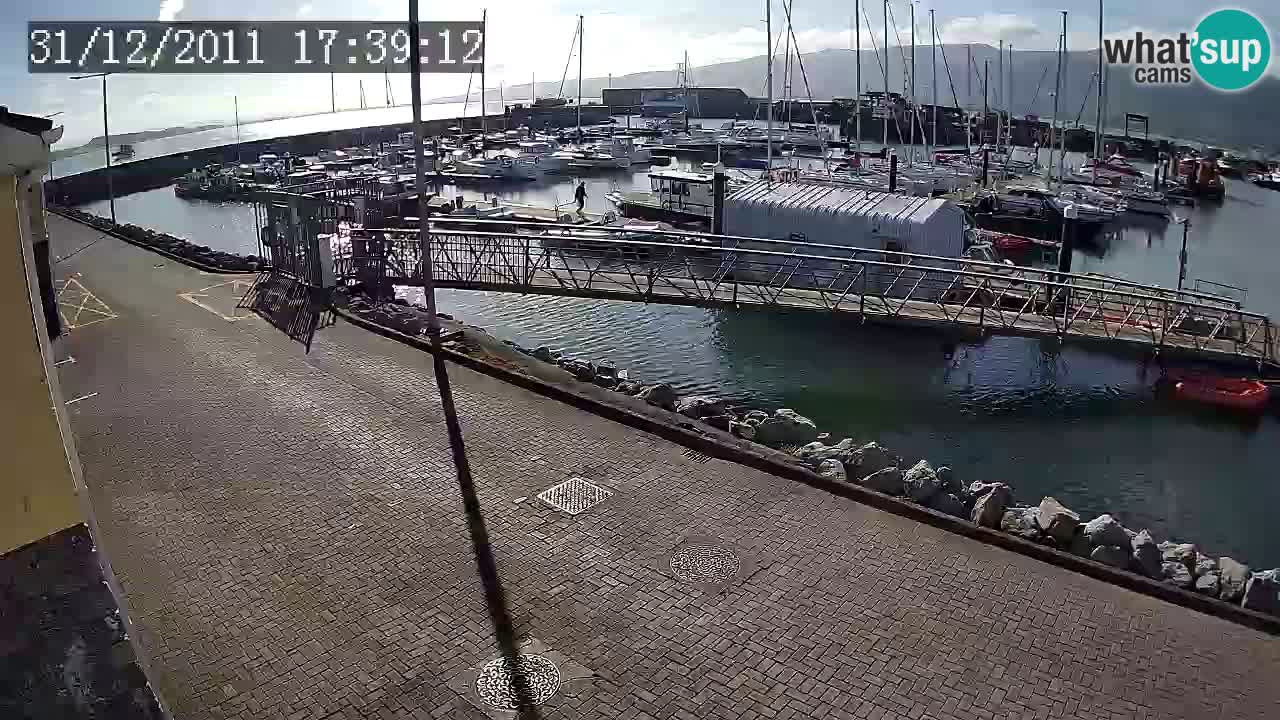 Fenit Marina live webcam