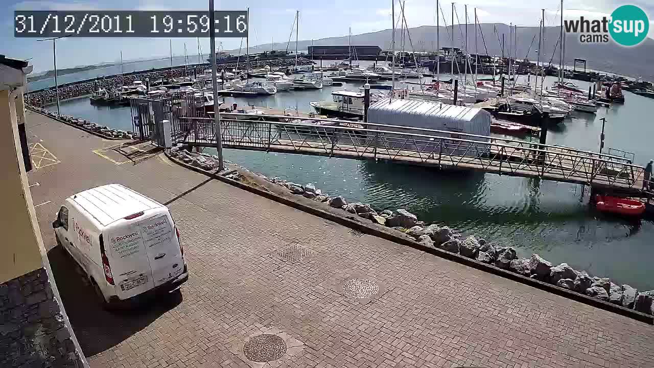 Fenit Marina livecam
