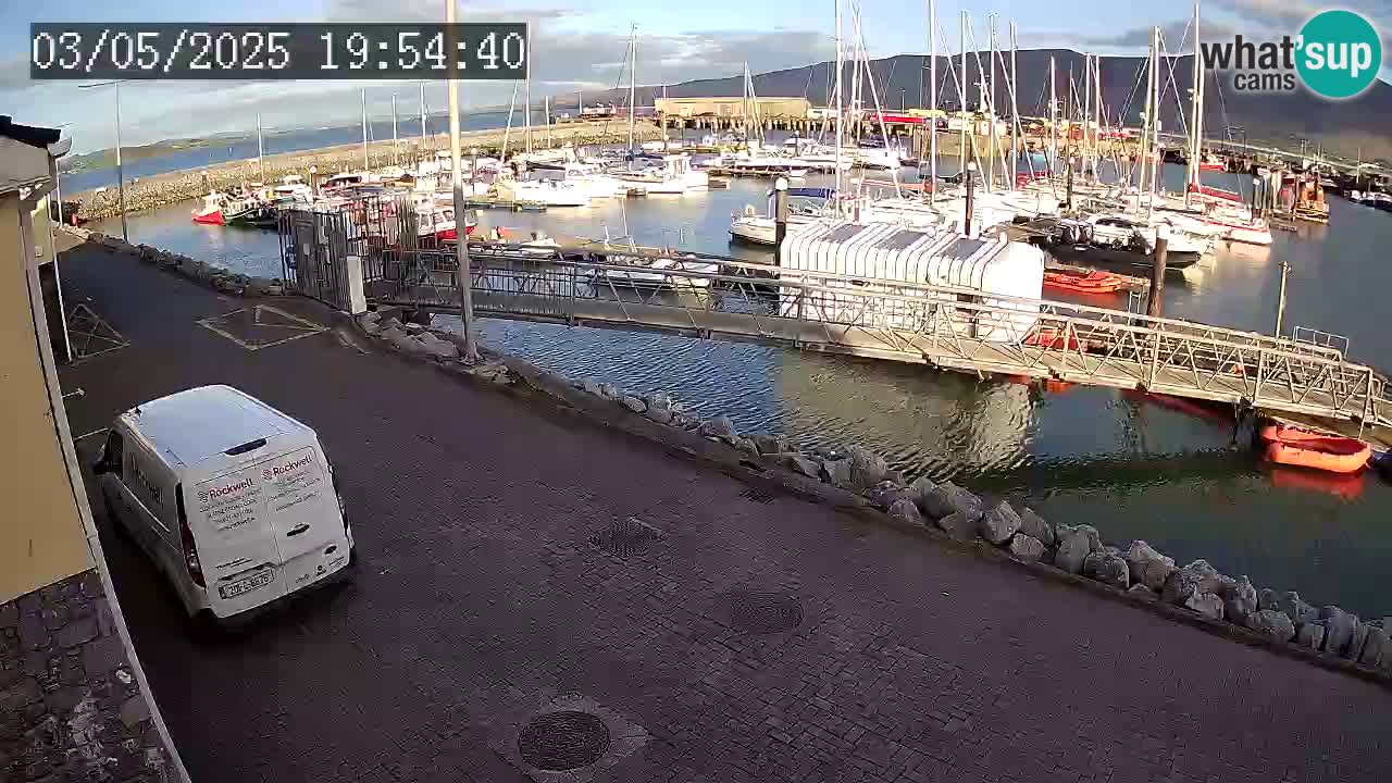 Fenit Marina livecam
