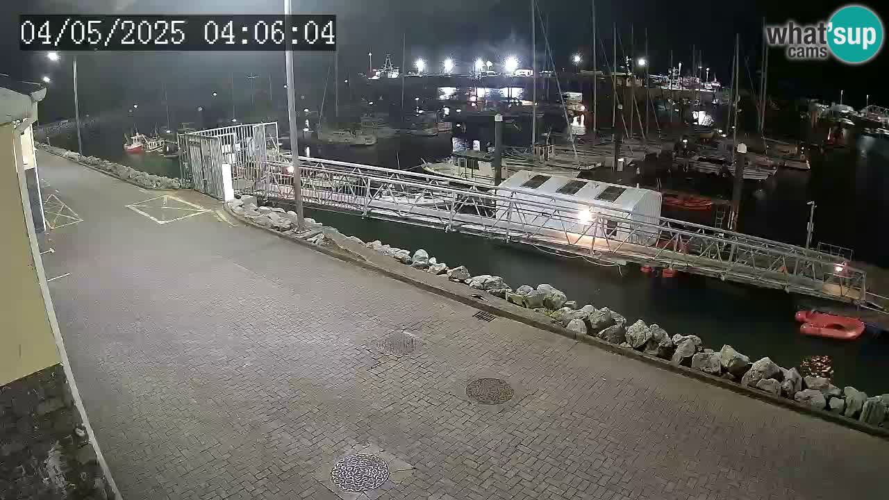 Fenit Marina livecam