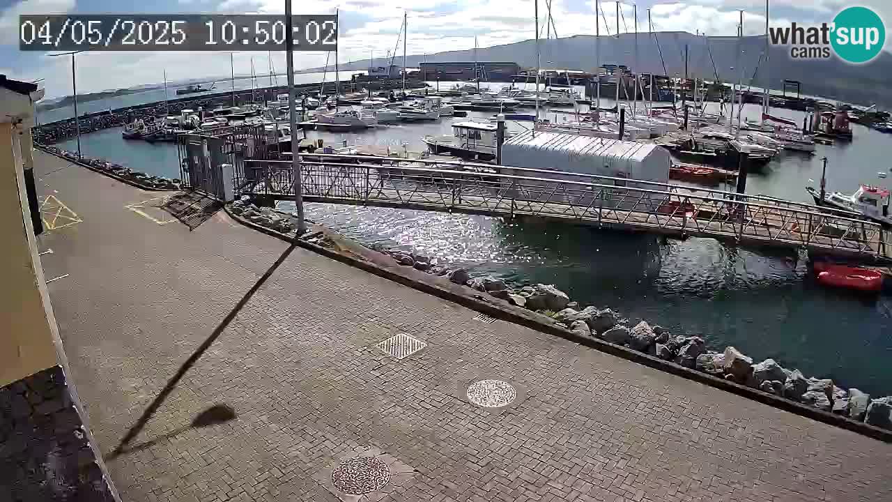 Fenit Marina live webcam