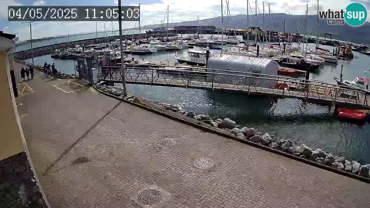 Fenit Marina live webcam
